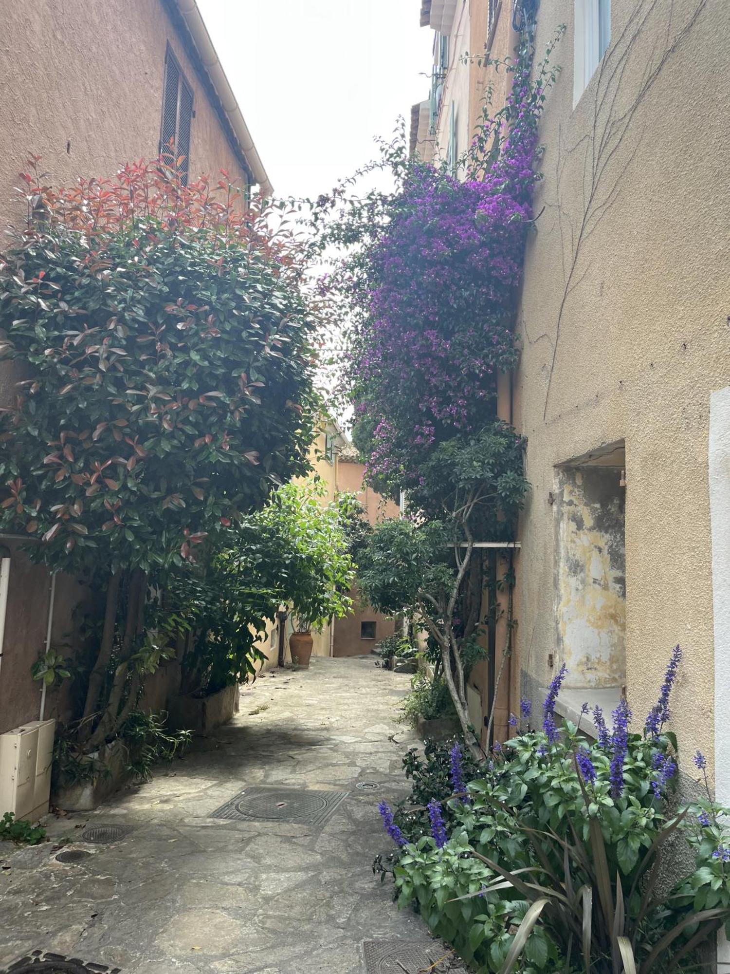 Villa La Recampado Bormes-les-Mimosas Exterior foto