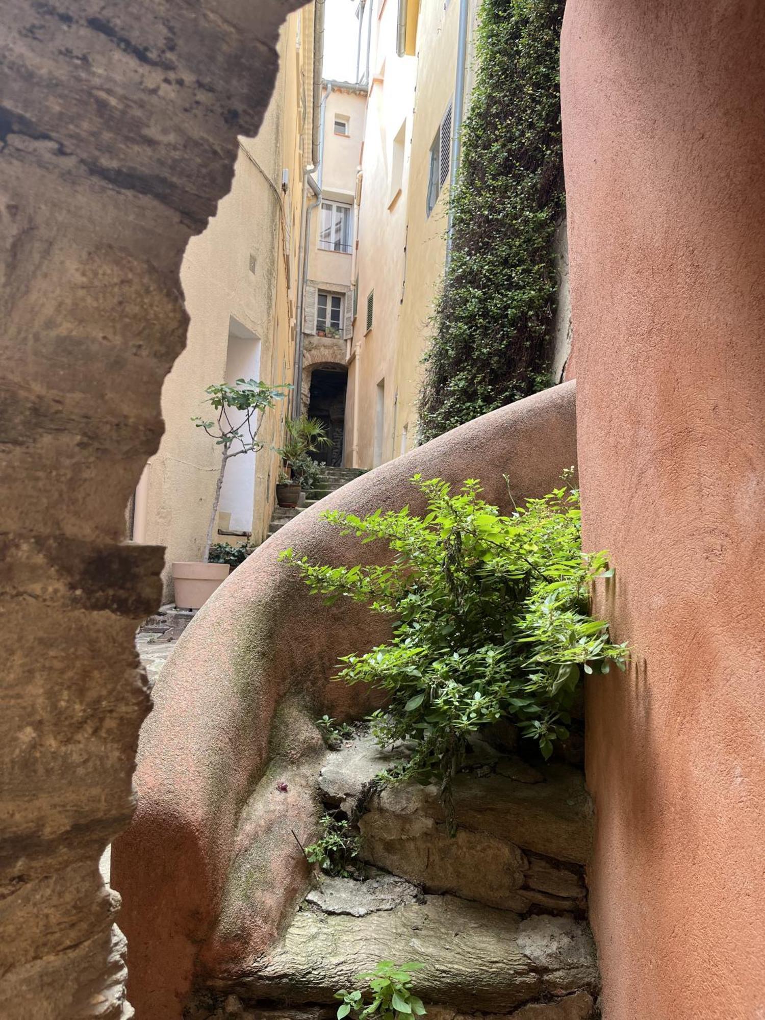 Villa La Recampado Bormes-les-Mimosas Exterior foto