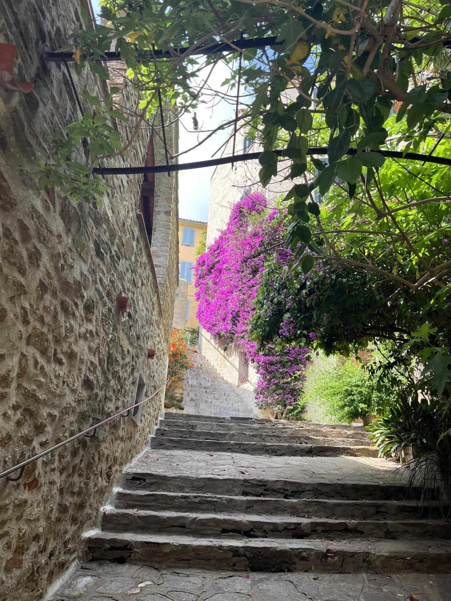 Villa La Recampado Bormes-les-Mimosas Exterior foto
