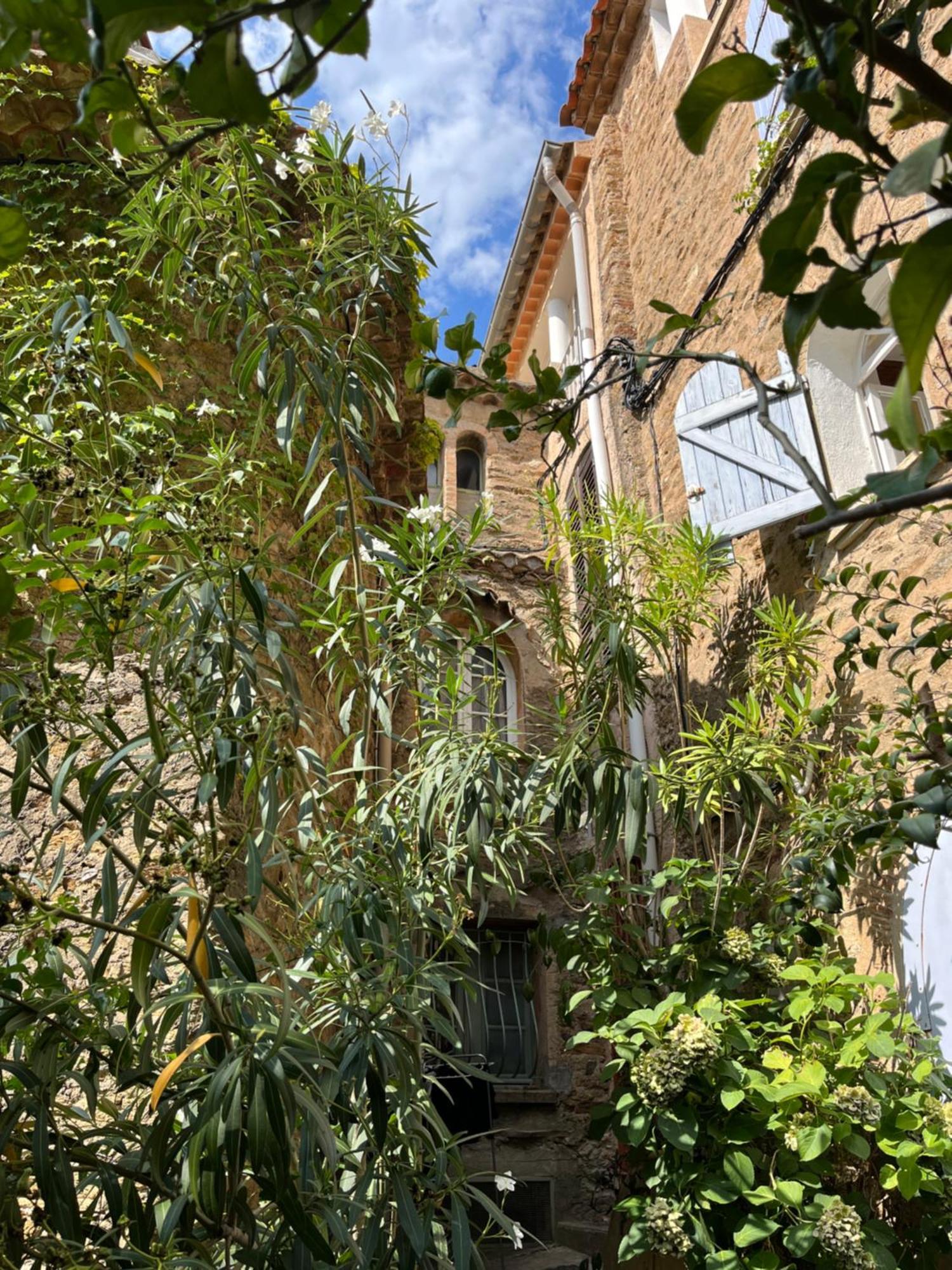 Villa La Recampado Bormes-les-Mimosas Exterior foto